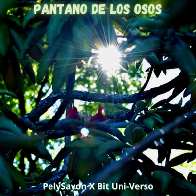 Pantano De Osos - Single