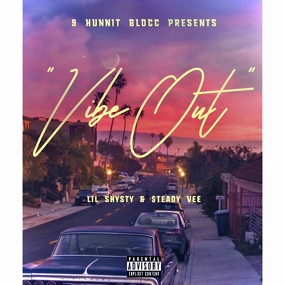 Vibe Out (feat. $teady Vee) - Single