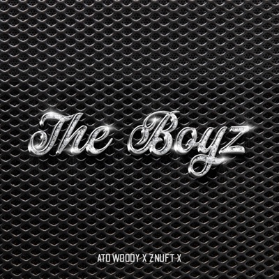 The Boyz - Single