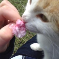 Be With - Single - rewind