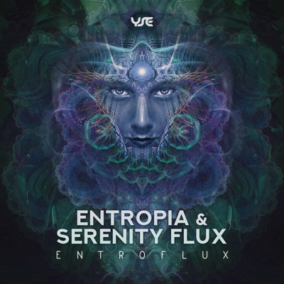 Entroflux artwork