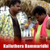 Kalluthera Bammaridhi - Single