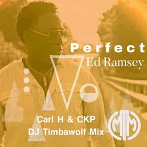Perfect - Single