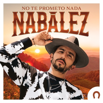 No Te Prometo Nada - Single