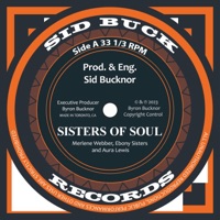 Many Rivers To Cross (feat. Aura Lewis) - Single - Sid Bucknor