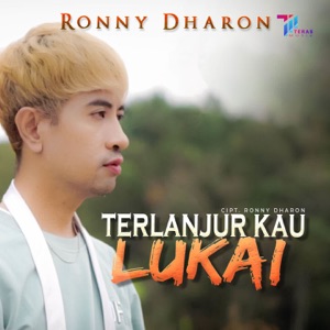 Chord Gitar Terlanjur Kau Lukai - Ronny Dharon