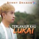 Ku Ingin Kembali