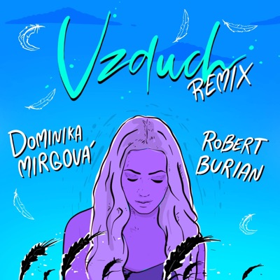 Vzduch (Remix) - Single