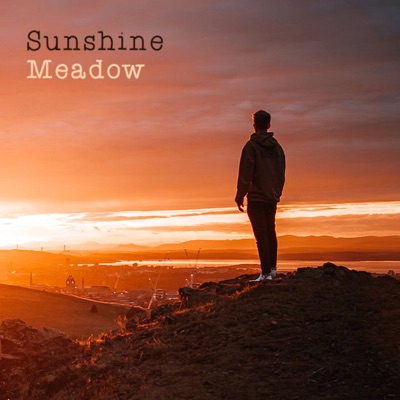 Sunshine Meadow - Single