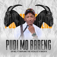 Pudi mo bareng (feat. Marumo the vocalist & Mash k) - Single - Dr Nel