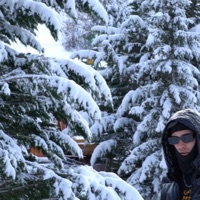 Gorilla - Single - DESKARAO