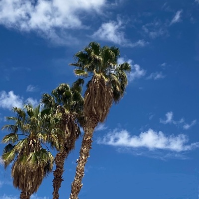 Maybe One Day - Single