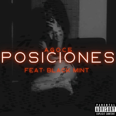 Posiciones (feat. BLACK MINT) - Single
