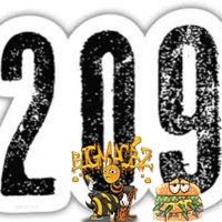 209 - Single - BigMacBZ