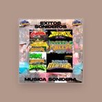 Musica Sonidera inc