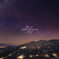 The Night - Single - Narrow Skies