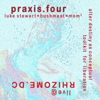 praxis.four (feat. Luke Stewart) - Bushmeat Sound
