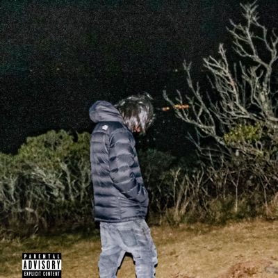 Moon (Vampin) - Single