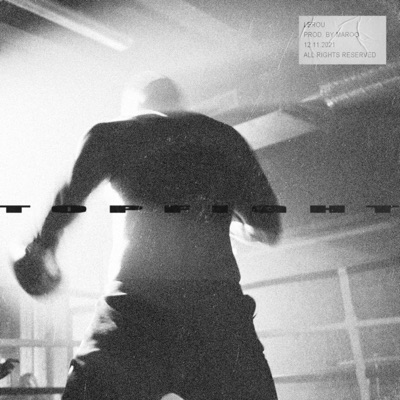 Topfight - Single