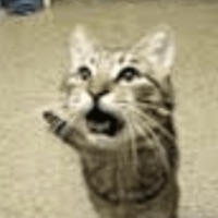 Satisfaction (feat. Half Hollow) - Single - Uzy!