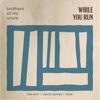 While You Run (feat. Bel-Ami, David James & Tane) - Single