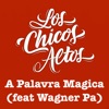 A Palavra Magica (feat. Wagner Pa) - Single