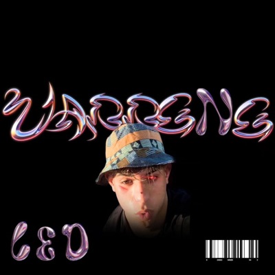 VABBENE (feat. LEOBOI) - Single