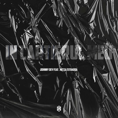 In cartierul meu (feat. Mitza Estradda) - Single