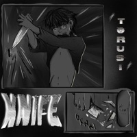 Knife - Single - Torusi