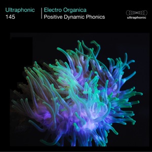 Electro Organica