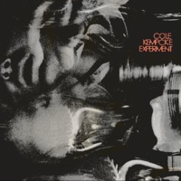 The End of Dreams - Single - Cole Kempcke