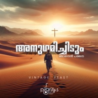 Anugamichidum Njan En Parane (feat. Samuel David) - Single - Daniel Yesudasan