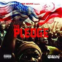 The Pledge - Big Skunk