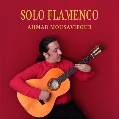Solo Flamenco
