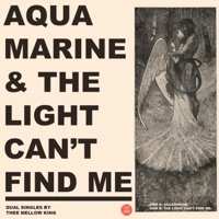 Aquamarine/The Light Can't Find Me - Single - Blayne Thee Mellow King