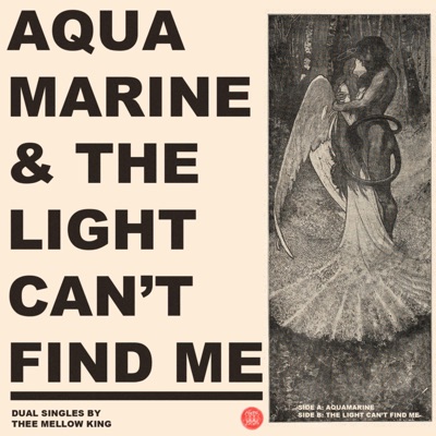 Aquamarine/The Light Can't Find Me - Single