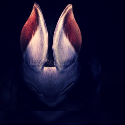 Rabbit Hole - Single