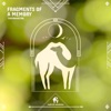Fragments of a Memory - Single