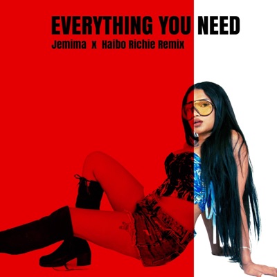 Everything you need (remix) [Haibo Richie Remix] - Single