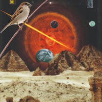 Wherewithal - EP - Coughy Bitters