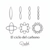 El Ciclo del Carbono - Single