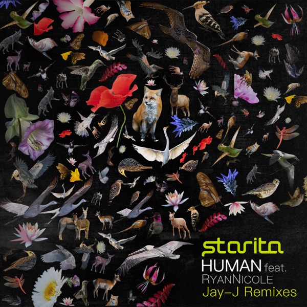 Human (feat. RyanNicole) [Jay-J Remixes] - EP
