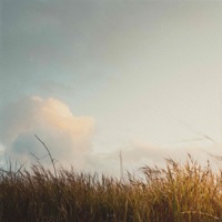 Sun - Single - Beatific Vision