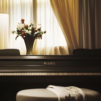 Blissful Ignorance - Single - Vahid Mahdiun & mp_musicdreamer