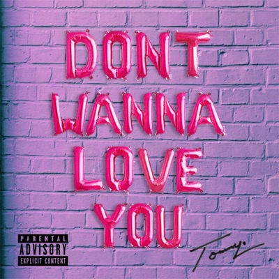 Don't Wanna Love You - Single