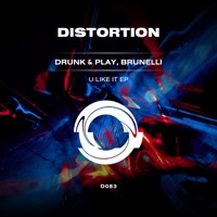 U Like It - EP - Drunk & Play & Brunelli