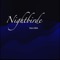 Nightbirde - Dave Birk lyrics