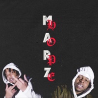 Diplomatic Community (feat. Marz Money & T. Hope) - Single - Noxmen Committee