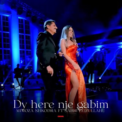 Dy here nje gabim - Single