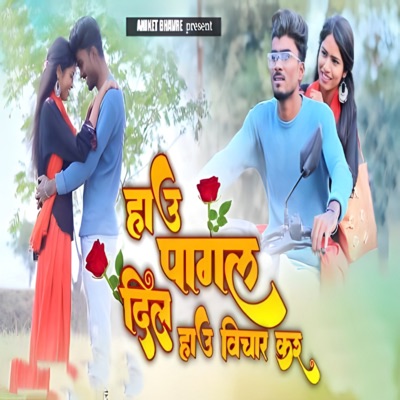 Hau Pagal Dil Hau Vichar Kara (feat. Anil Kuvar) - Single